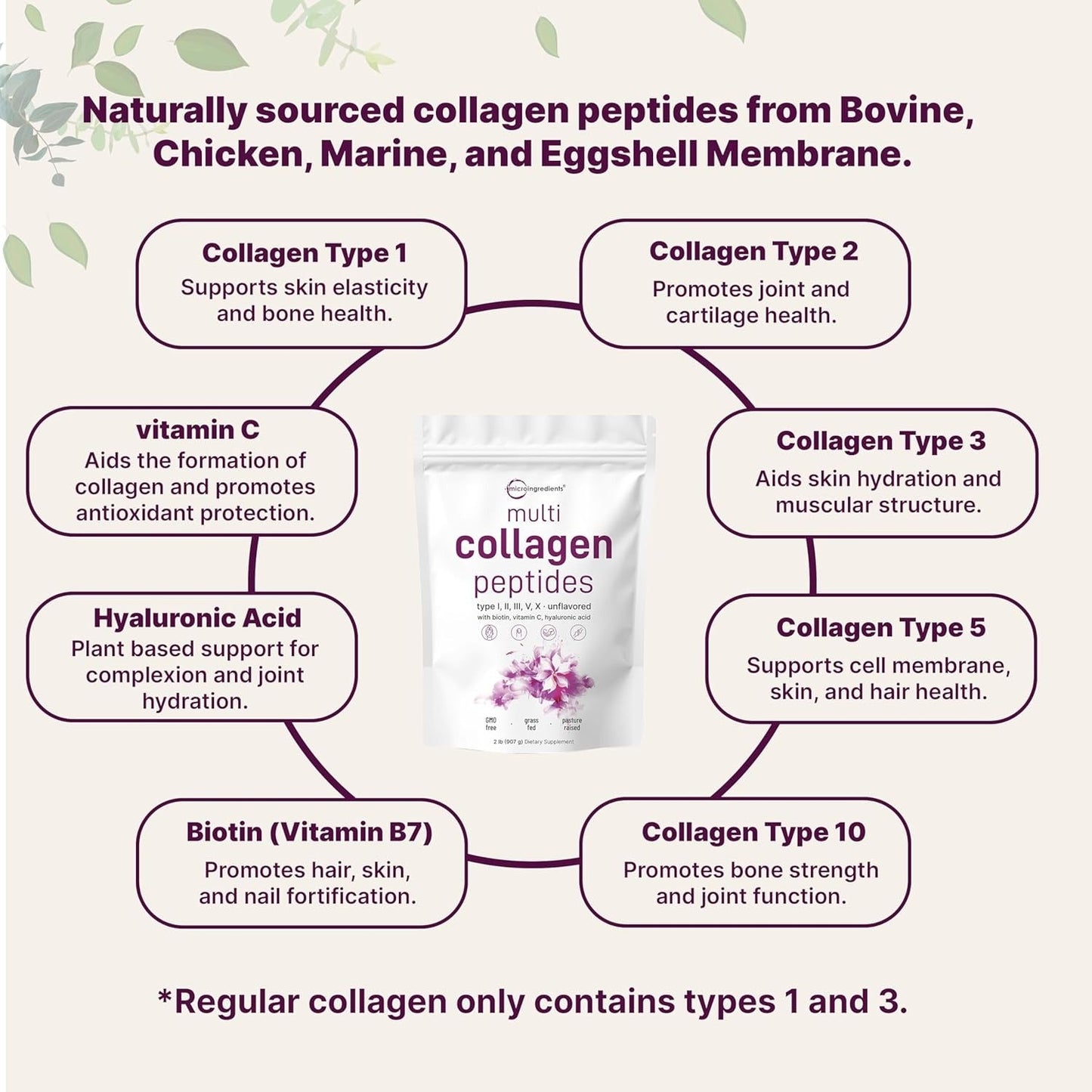 PureHabits™ Micro Ingredients Multi Collagen Peptides Powder, 2lb | Type I, II, III, V, X + Biotin, Vitamin C & Hyaluronic Acid | Unflavored | Supports Hair, Skin...