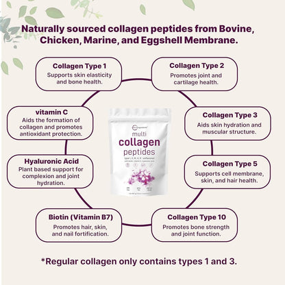 PureHabits™ Micro Ingredients Multi Collagen Peptides Powder, 2lb | Type I, II, III, V, X + Biotin, Vitamin C & Hyaluronic Acid | Unflavored | Supports Hair, Skin...